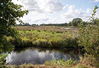 De waterrijke omgeving van Earnewld